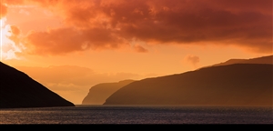 Photo by Kimberley Coole